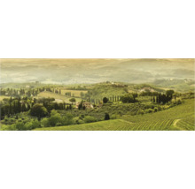 Landschaftsbild mit Hügeln, Bäumen und Weinbergen