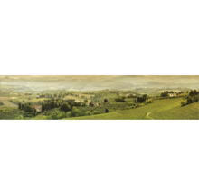 Panoramaansicht einer hügeligen Landschaft mit Feldern, Bäumen und Häusern