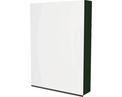 Spiegelschrank Devo Viva 2.0 links BxHxT 60x85x15 cm conifer green supermatt Weißer Hochschrank für Badezimmer