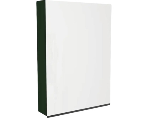 Spiegelschrank Devo Viva 2.0 rechts BxHxT 60x85x15 cm conifer green supermatt Weißer Badezimmerschrank