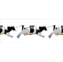 Dekorative Bordüre mit Kuhmotiv