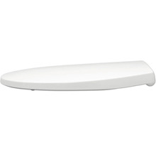 Toilettendeckel aus Sanitärkeramik