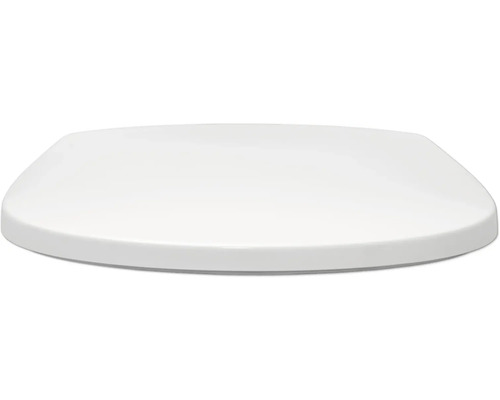 Toilettendeckel aus Kunststoff