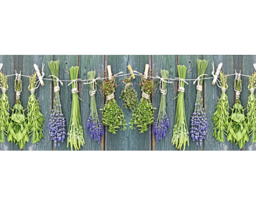 Küchenrückwand mySpotti Profix Kräuter der Provence 160 x 60 cm PX-16060-207-HB Küchenrückwand mySpotti Profix Kräuter der Provence 160 x 60 cm PX-16060-207-HB