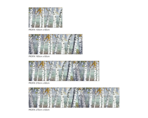 Übersicht verschiedener Größen der PROFIX Klebefolie mit Birkenmotiv, erhältlich in 100 cm x 60 cm, 160 cm x 60 cm, 210 cm x 60 cm und 270 cm x 60 cm.