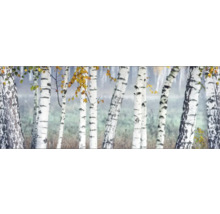Dekoratives Bild mit Birkenwald