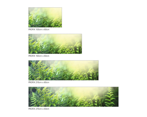 Übersicht verschiedener Größen der PROFIX-Fototapete mit Farnmotiv