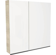 Badezimmerschrank mit zwei Türen