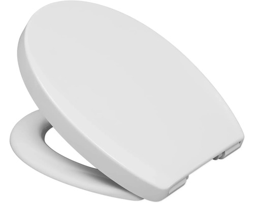 Toilettendeckel aus Kunststoff