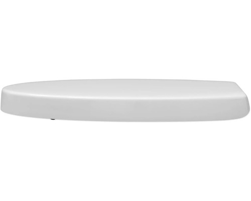 Toilettendeckel aus Kunststoff