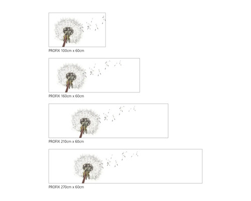 PROFIX Dekorplatten mit Löwenzahnmotiv in verschiedenen Größen