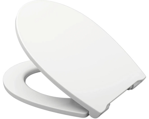 Toilettendeckel aus Kunststoff