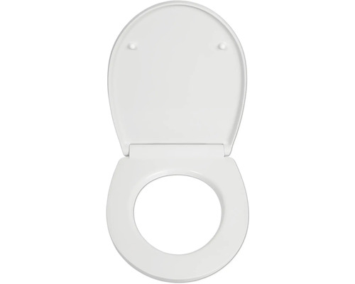 Toilettendeckel aus Kunststoff