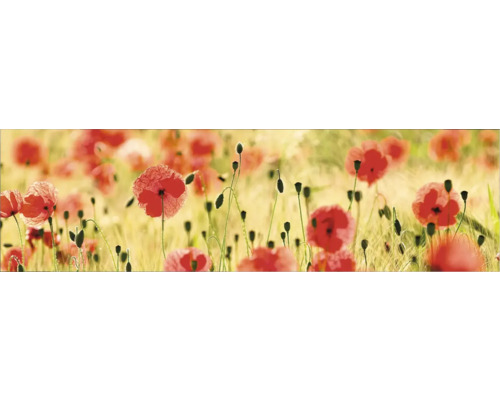 Crédence de cuisine mySpotti Profix Mohnet coquelicot fleurs 210 x 60 cm PX-21060-1518-HB