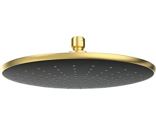 Pomme de douche de tête ronde pour douche