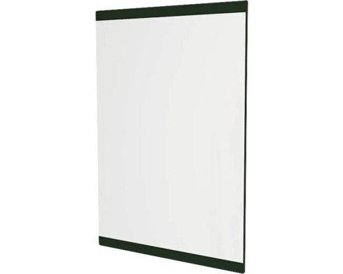 Miroir Devo Viva 2.0 lxhxé 60x85x2 cm conifer green supermat