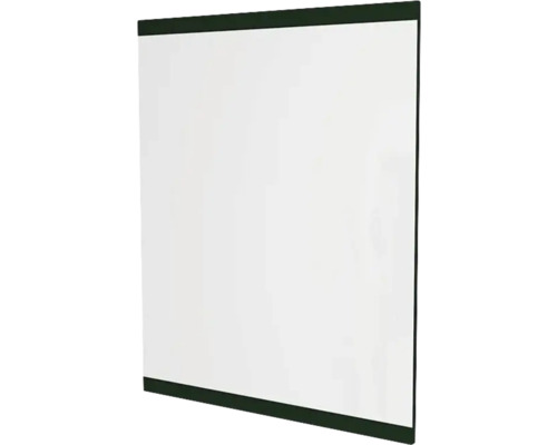 Miroir Devo Viva 2.0 lxhxé 70x85x2 cm conifer green supermat