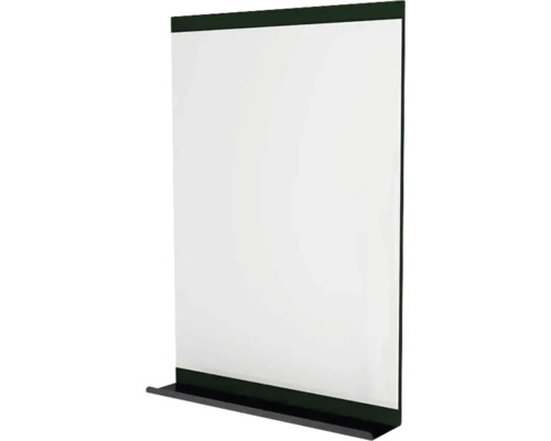 Miroir avec tablette Devo Viva 2.0 lxhxé 60x85x12 cm conifer green supermat/black Tableau de conférence vide pour présentations