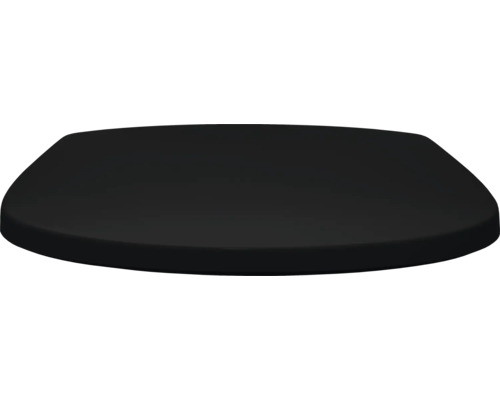 Schwarzer Toilettensitz