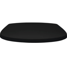 REIKA WC-Sitz MINO schwarz matt Scharniere Edelstahl schwarz mit Absenkautomatik und Quick&Clean universell passend