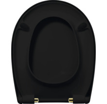Toilettendeckel aus Kunststoff