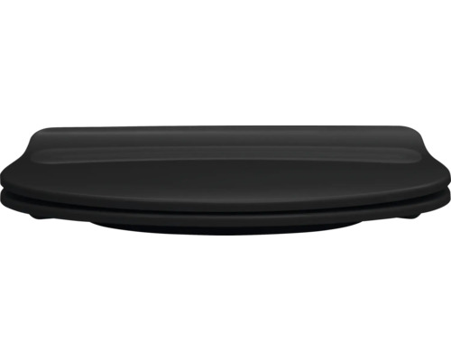 Toilettendeckel aus Kunststoff