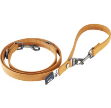 Laisse pour chien en cuir avec mousqueton
