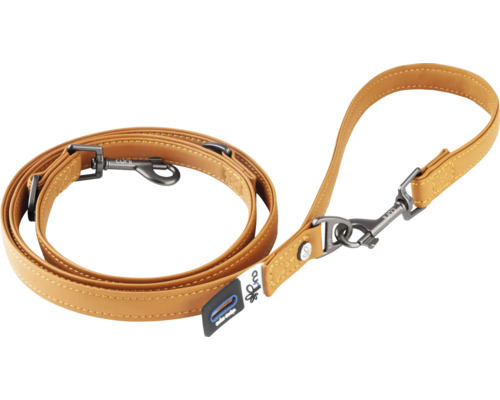 Laisse pour chien en cuir avec mousqueton