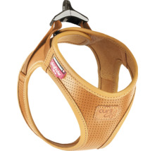 Harnais pour chien Curli en cuir avec Dogfinder