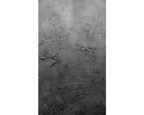 Fototapete Vlies 81602 Jackie Rosen grau 3-tlg. 159 x 270 cm Tapete mit Rosenmuster