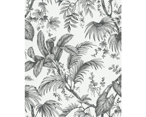 Papier peint intissé 82337 Jackie feuilles jungle noir Papier peint avec motif de plantes tropicales