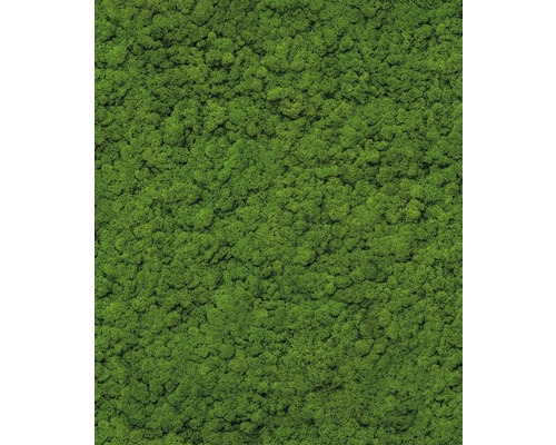 Papier peint intissé 34864 GZSZ naturel vert