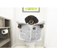 Teckel lit le journal aux toilettes dans la salle de bain
