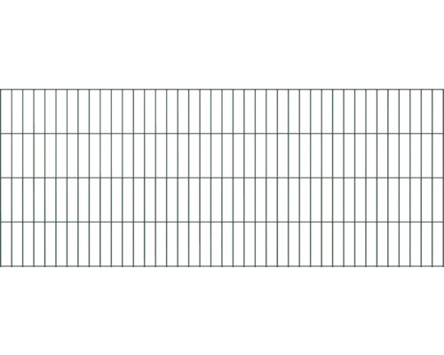 Panneau rigide double fil ALBERTS 6/5/6 200 x 80 cm vert