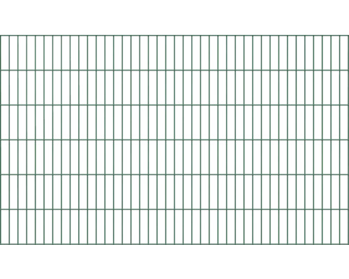 Panneau rigide double fil ALBERTS 6/5/6 200 x 120 cm vert