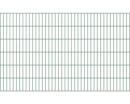 Panneau rigide double fil ALBERTS type 6/5/6 200 x 120 cm vert Clôture en treillis soudé