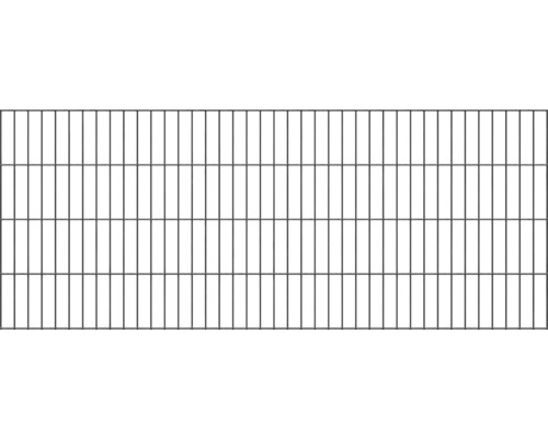 Panneau rigide double fil ALBERTS 6/5/6 200 x 80 cm anthracite
