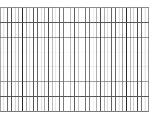 Doppelstabmatte ALBERTS Typ 6/5/6 200 x 140 cm anthrazit Metallgitter