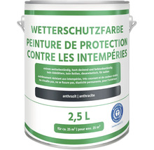 Peinture de protection contre les intempéries en pot de 2,5 litres, anthracite, convient pour environ 25 mètres carrés