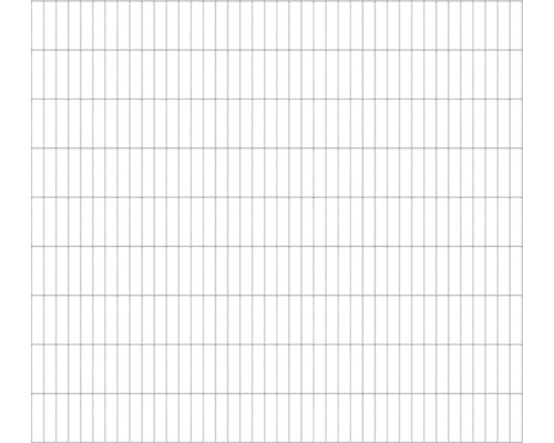 Kit grillage rigide double fils zinc