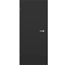 Porte intérieure foncée avec poignée de porte