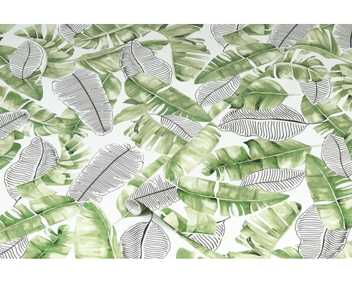 Papier peint à motif de feuilles de bananier