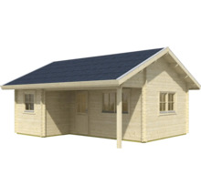 Maison de jardin en bois avec fenêtres et porte