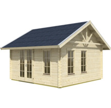Abri de jardin en bois avec fenêtres et double porte