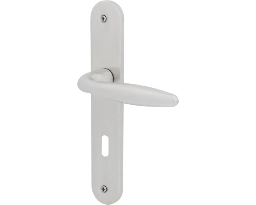 Ensemble plaque/poignée de porte BB Alison acier inoxydable satiné Poignée de porte avec plaque longue