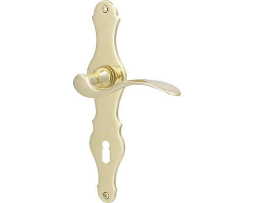 Türdrücker mit Langschild