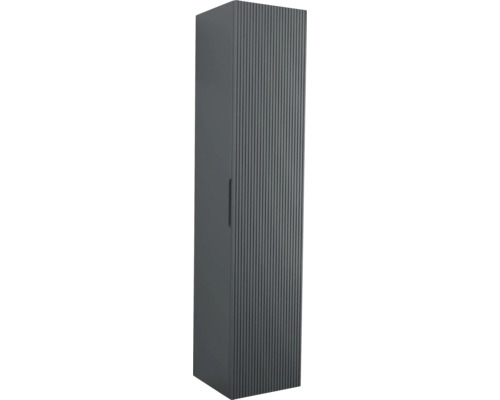 Armoire haute Jungborn QUATTRO/SEDICI couleur de façade noir mat 35 x 160 x 35 cm 55708