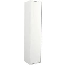 Weißer Hochschrank mit Tür