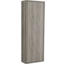 Armoire haute Jungborn NOVE lxhxp 35 x 100 x 20 cm couleur de façade noyer mat 55797