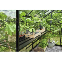 Gewächshaus mit Pflanzen und Gartenzubehör auf Regalen
